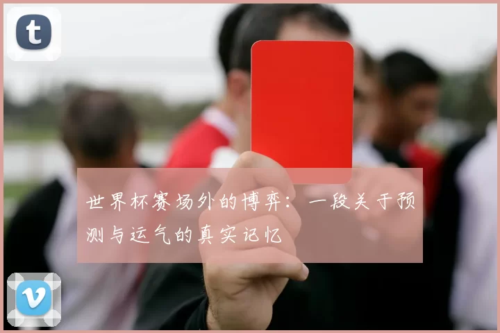 世界杯赛场外的博弈:一段关于预测与运气的真实记忆
