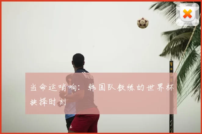当命运哨响:韩国队教练的世界杯抉择时刻