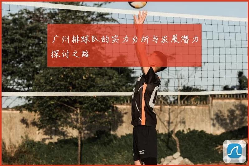 广州排球队的实力分析与发展潜力探讨之路