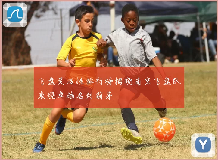 飞盘灵活性排行榜揭晓南京飞盘队表现卓越名列前茅