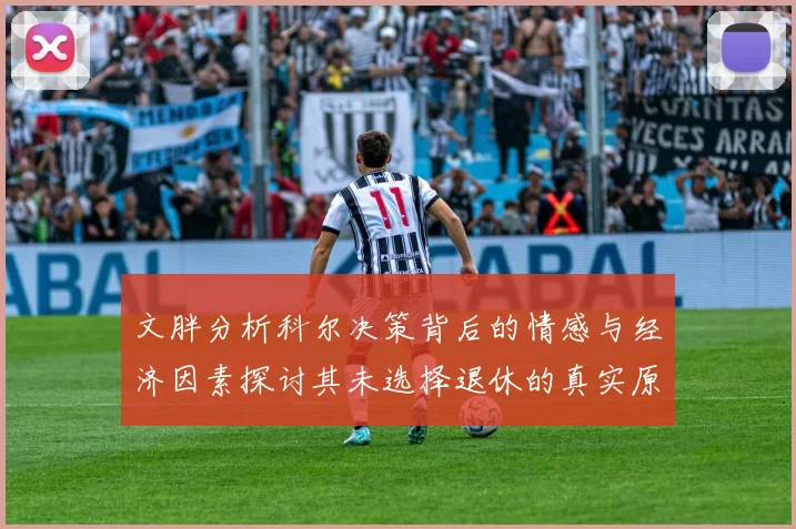 文胖分析科尔决策背后的情感与经济因素探讨其未选择退休的真实原因