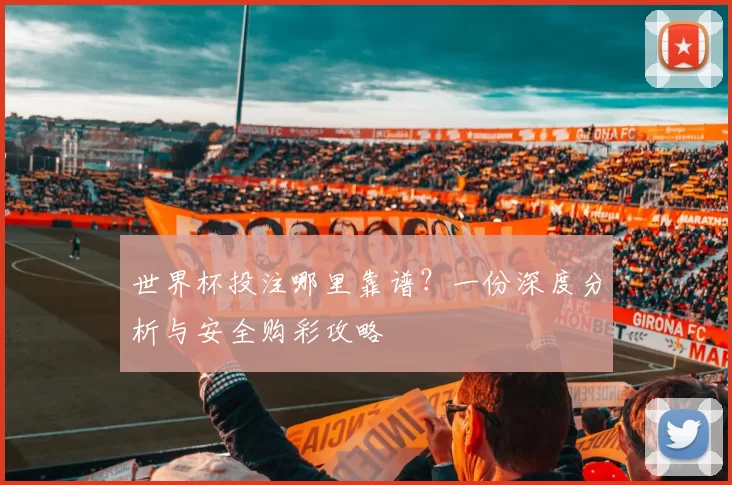 世界杯投注哪里靠谱？一份深度分析与安全购彩攻略