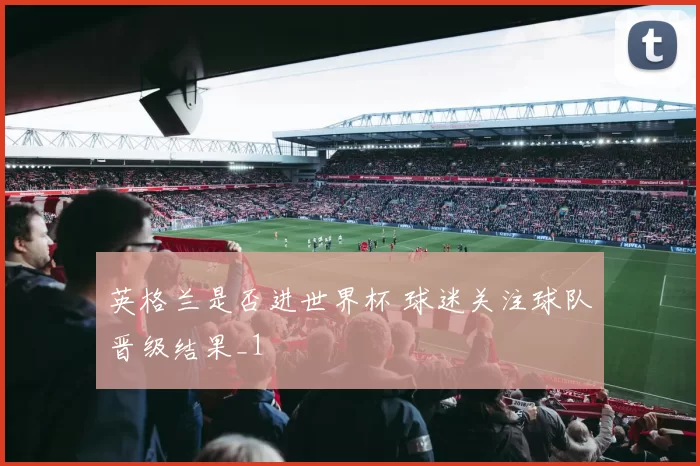 英格兰是否进世界杯 球迷关注球队晋级结果_1