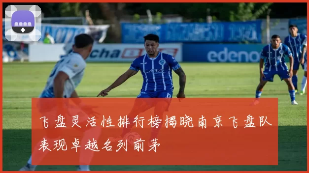 飞盘灵活性排行榜揭晓南京飞盘队表现卓越名列前茅