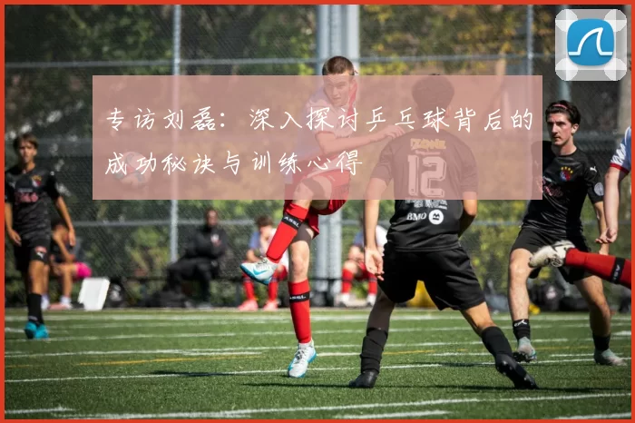 专访刘磊：深入探讨乒乓球背后的成功秘诀与训练心得