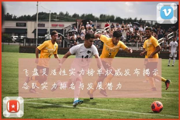 飞盘灵活性实力榜单权威发布揭示各队实力排名与发展潜力
