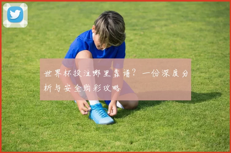世界杯投注哪里靠谱？一份深度分析与安全购彩攻略