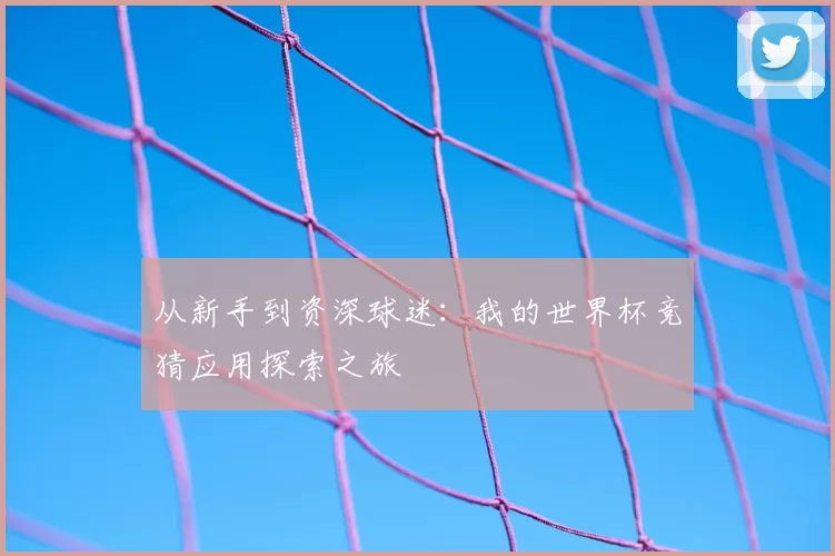 从新手到资深球迷：我的世界杯竞猜应用探索之旅