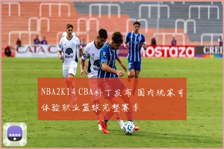 NBA2K14 CBA补丁发布 国内玩家可体验职业篮球完整赛季