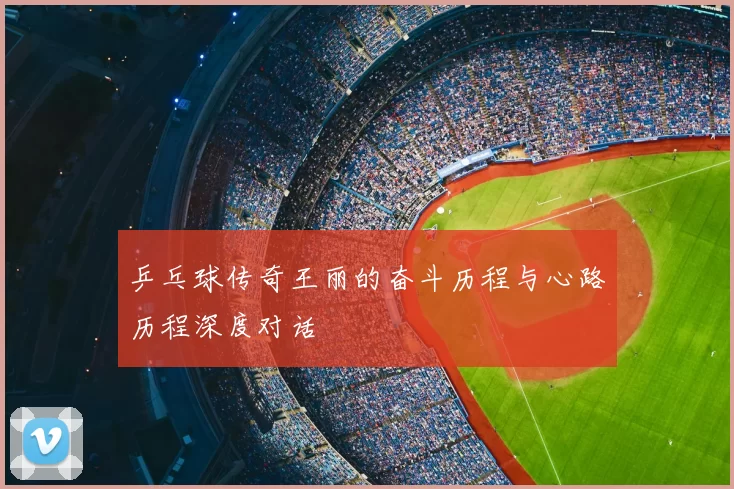乒乓球传奇王丽的奋斗历程与心路历程深度对话