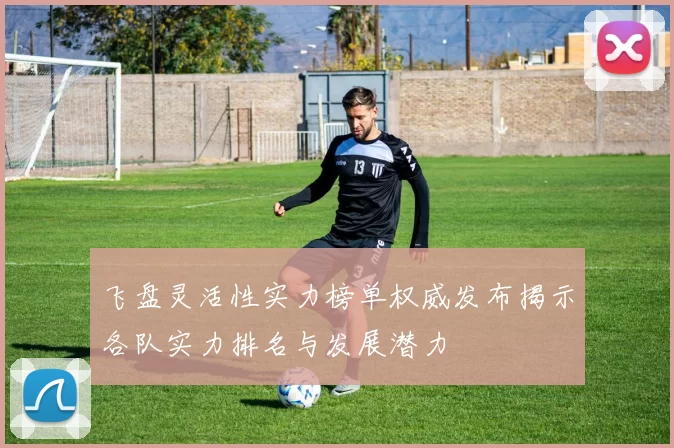 飞盘灵活性实力榜单权威发布揭示各队实力排名与发展潜力