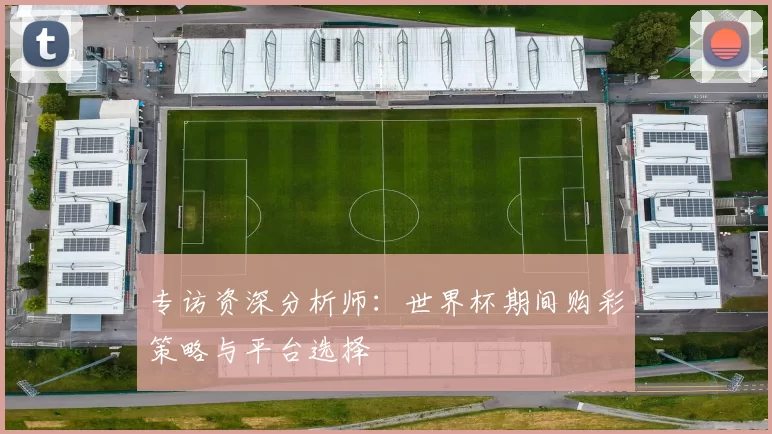 专访资深分析师:世界杯期间购彩策略与平台选择