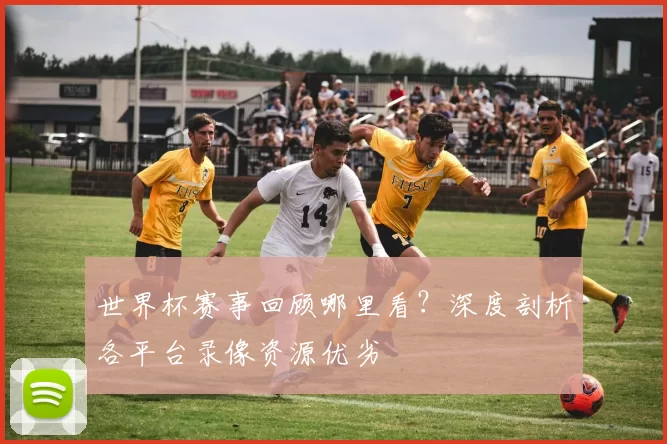 世界杯赛事回顾哪里看？深度剖析各平台录像资源优劣